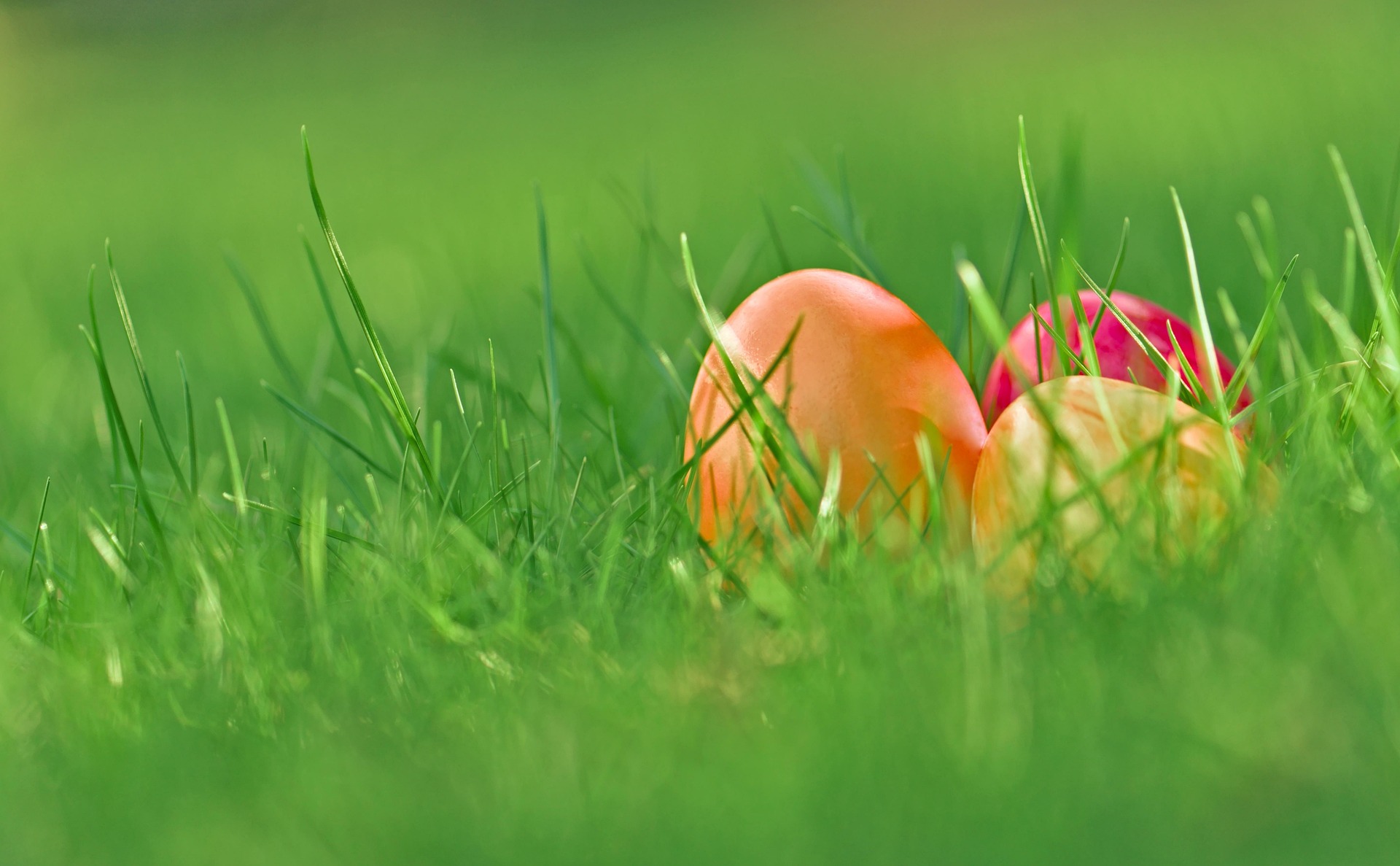 WIELKANOCNA PROMOCJA! <br /> ZRÓB REZERWACJĘ DO 15.02.2026 R. I ZGARNIJ ZNIŻKĘ 300 ZŁ